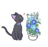 blue cat with flowers